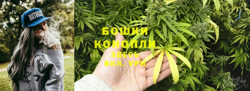 Марихуана OG Kush  где можно купить   Новоалександровск 